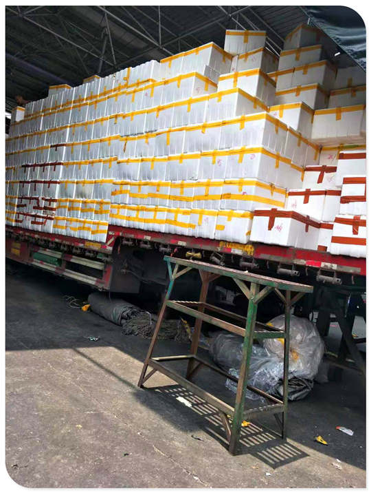 首页| PA视讯集团中国官方网站