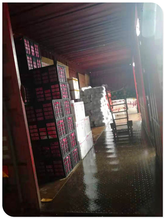 首页| PA视讯集团中国官方网站