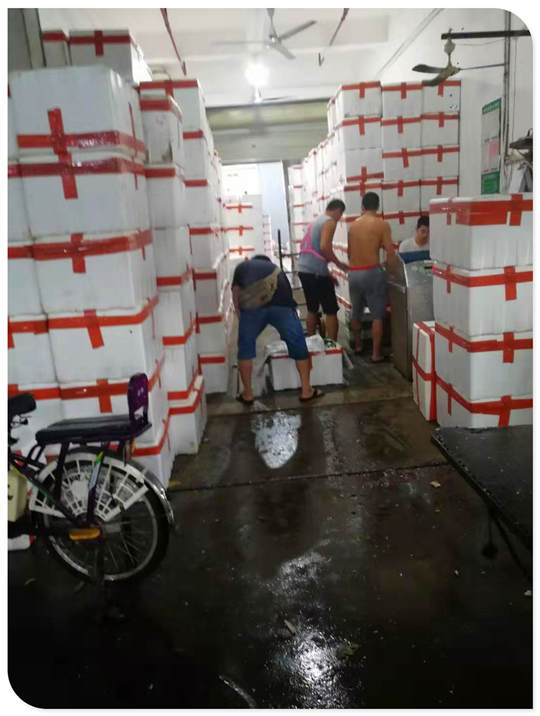 首页| PA视讯集团中国官方网站