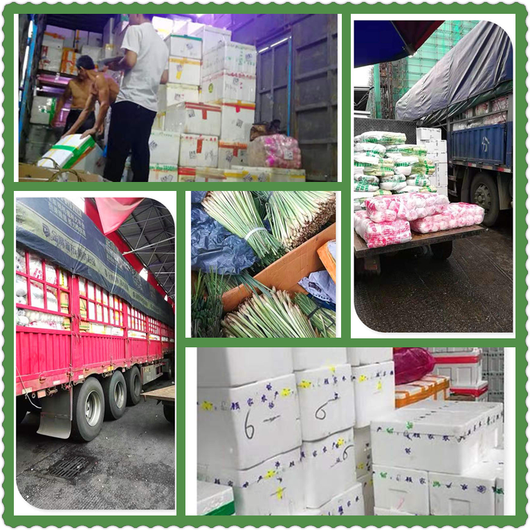 首页| PA视讯集团中国官方网站