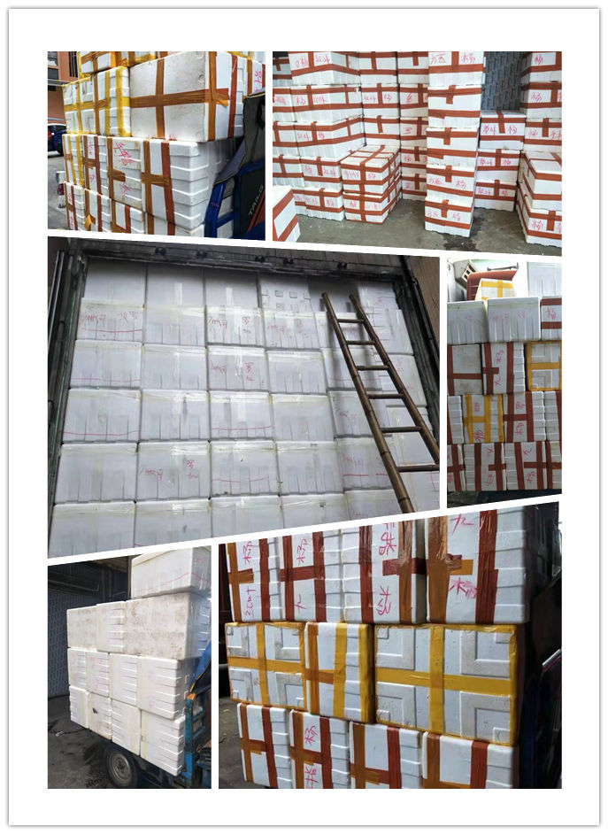 首页| PA视讯集团中国官方网站