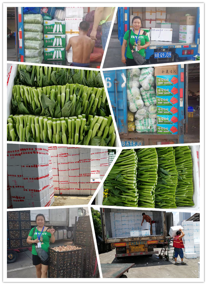 首页| PA视讯集团中国官方网站