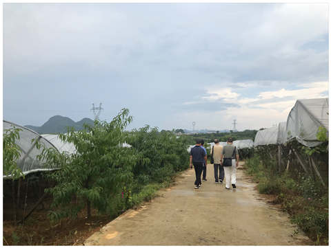 首页| PA视讯集团中国官方网站