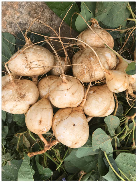 首页| PA视讯集团中国官方网站