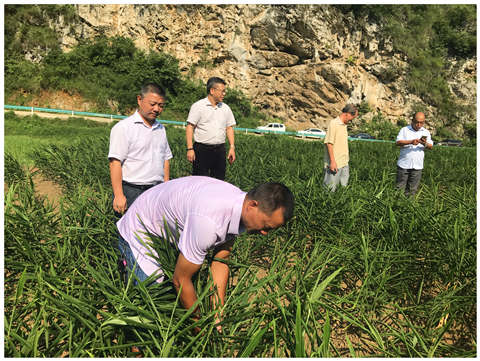 首页| PA视讯集团中国官方网站