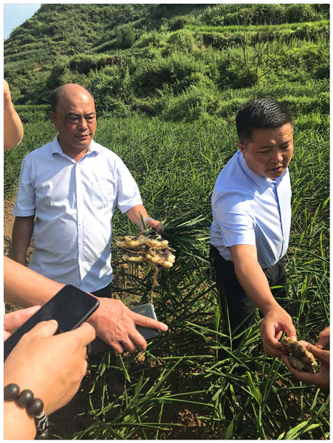 首页| PA视讯集团中国官方网站