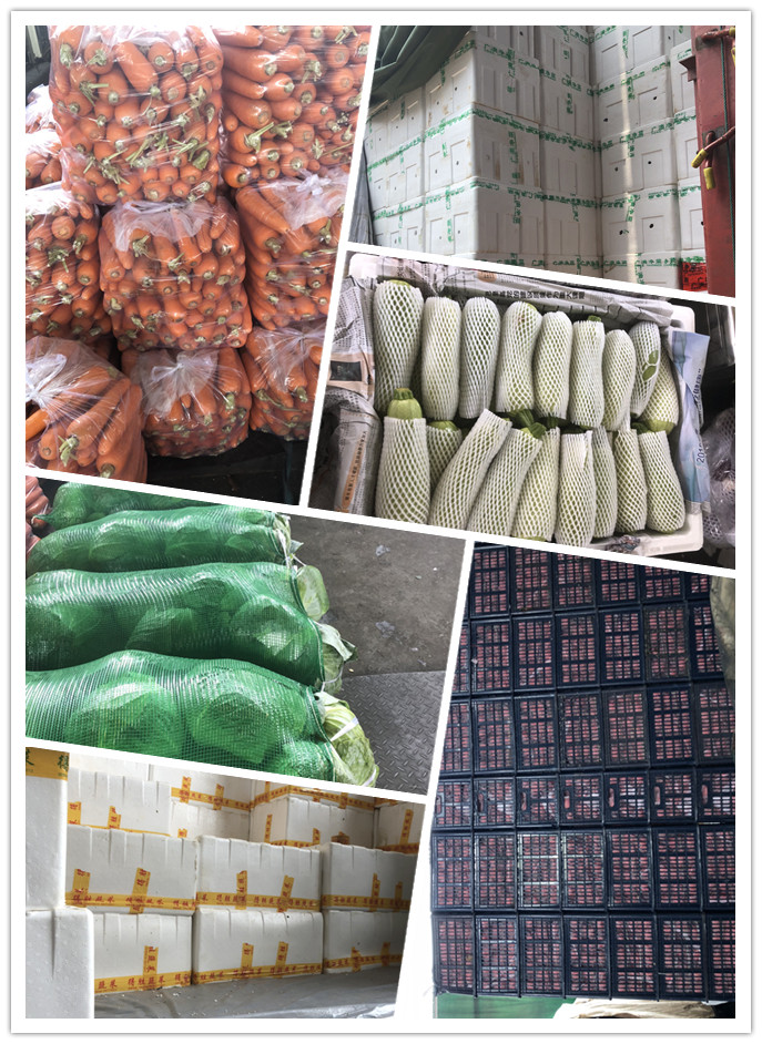 首页| PA视讯集团中国官方网站