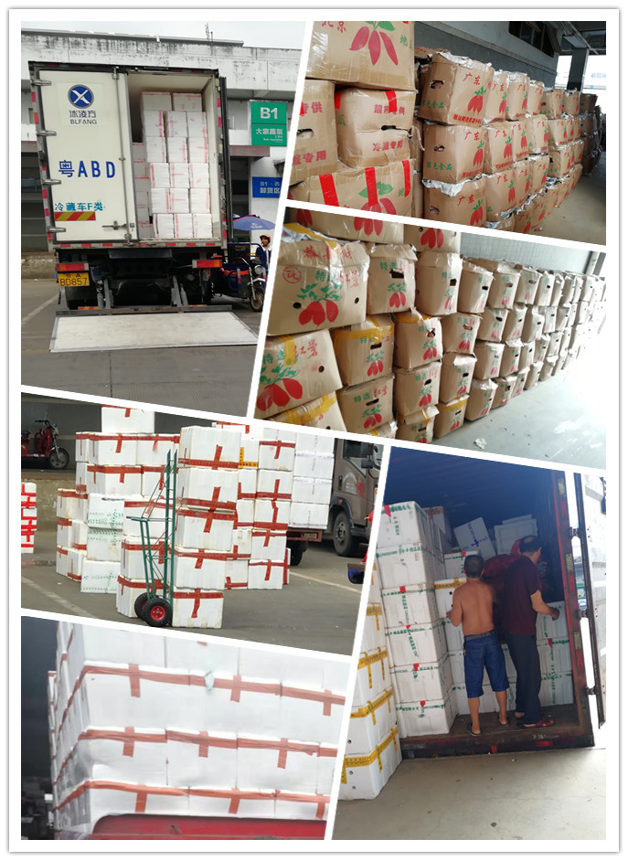 首页| PA视讯集团中国官方网站