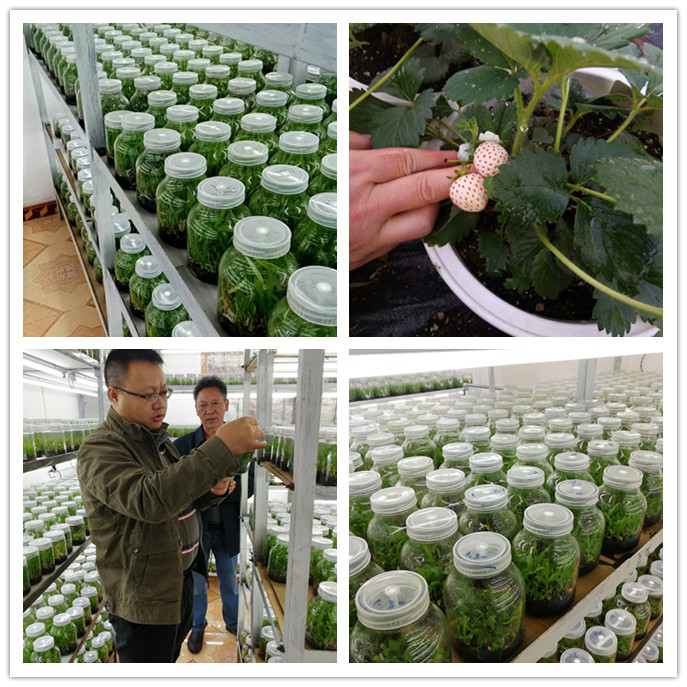 首页| PA视讯集团中国官方网站