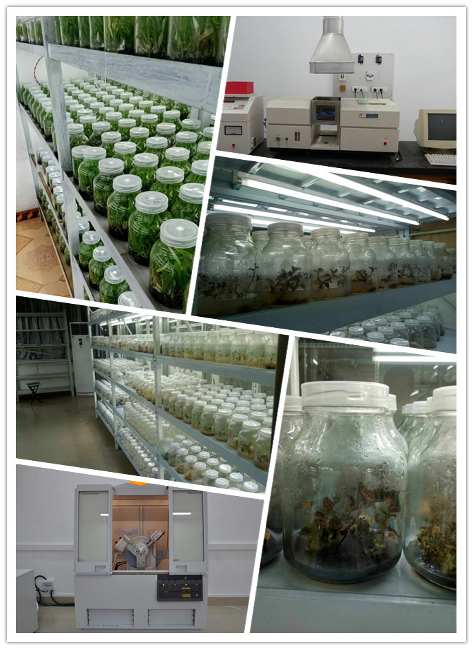 首页| PA视讯集团中国官方网站