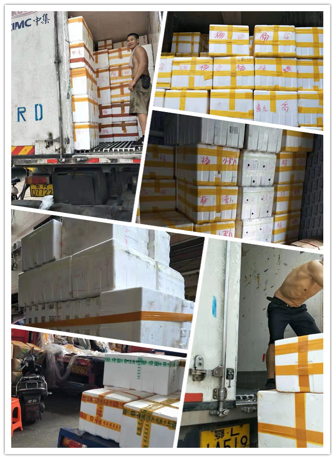 首页| PA视讯集团中国官方网站