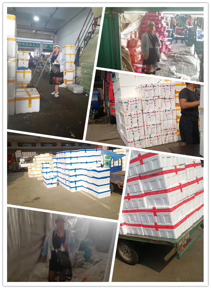 首页| PA视讯集团中国官方网站