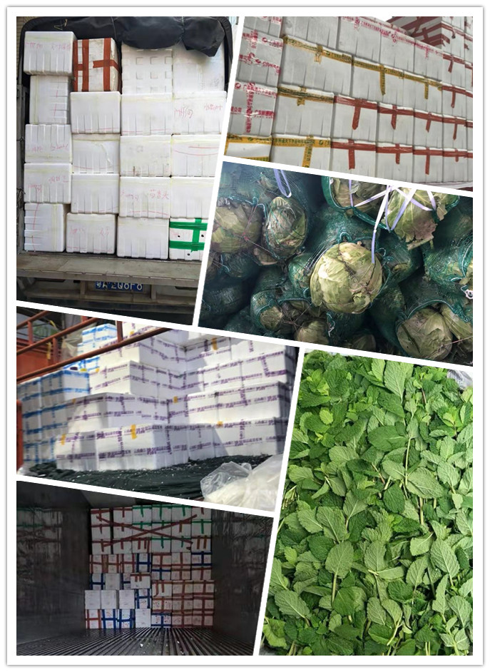 首页| PA视讯集团中国官方网站