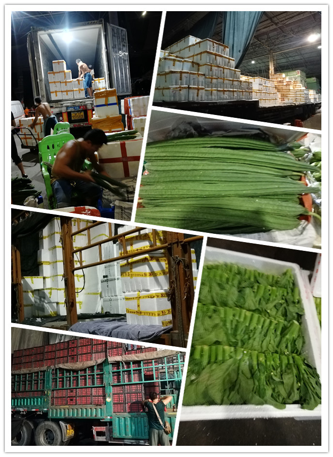 首页| PA视讯集团中国官方网站