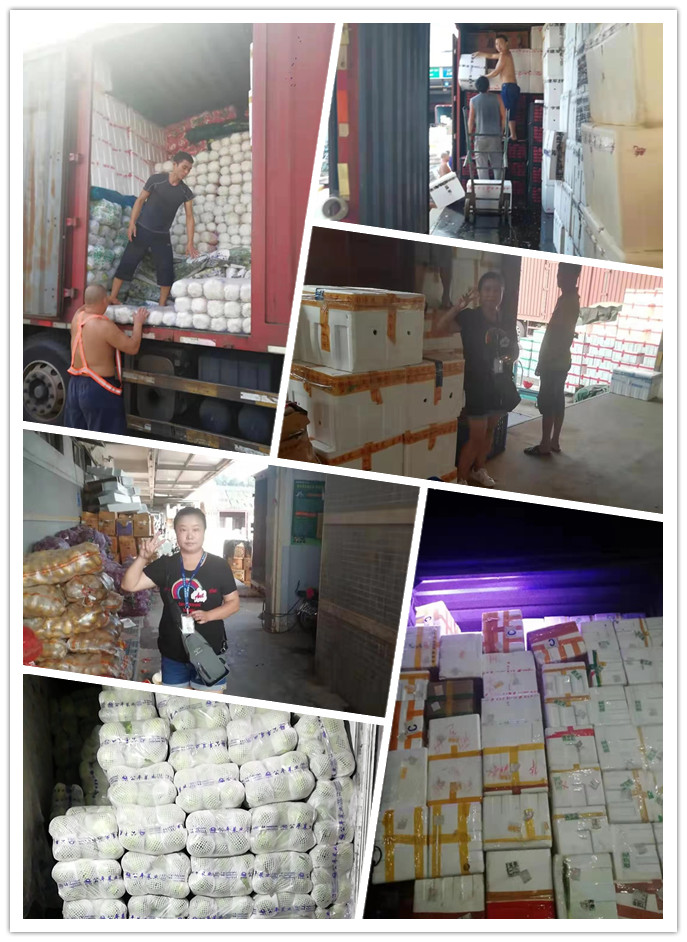 首页| PA视讯集团中国官方网站