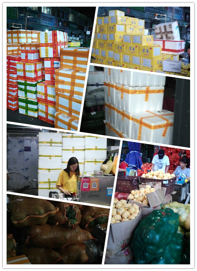 首页| PA视讯集团中国官方网站