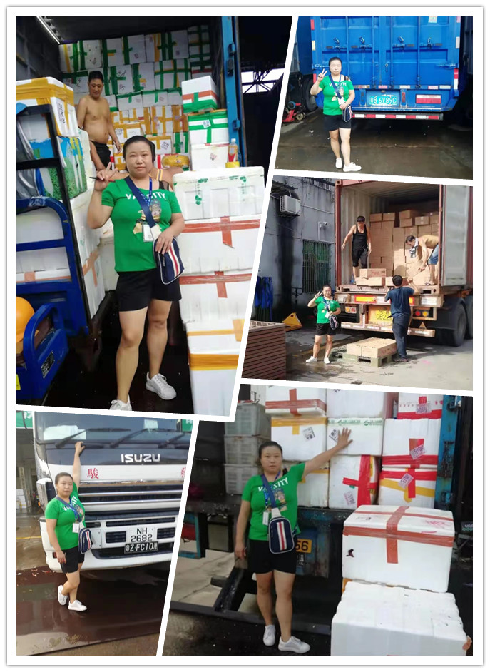 首页| PA视讯集团中国官方网站