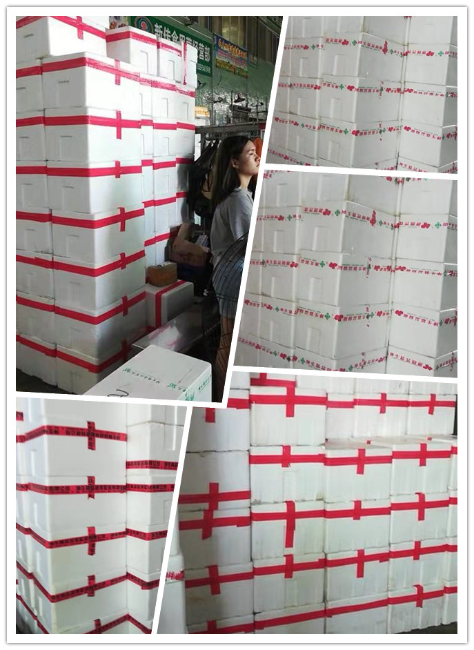 首页| PA视讯集团中国官方网站