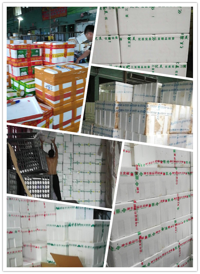 首页| PA视讯集团中国官方网站