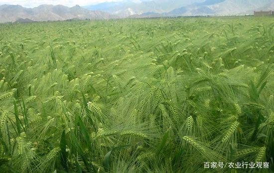 首页| PA视讯集团中国官方网站