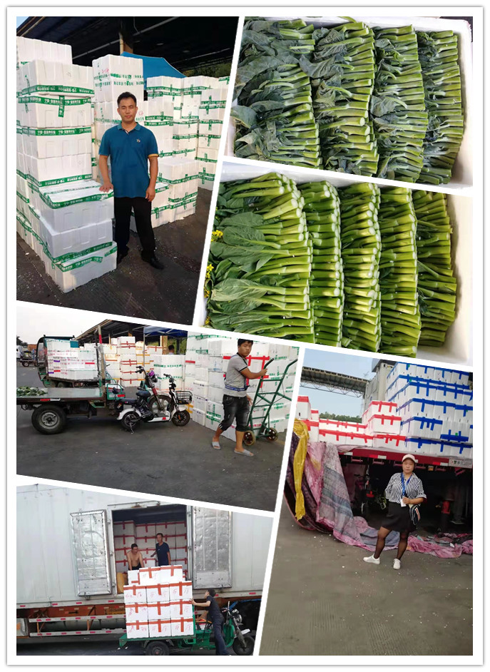 首页| PA视讯集团中国官方网站