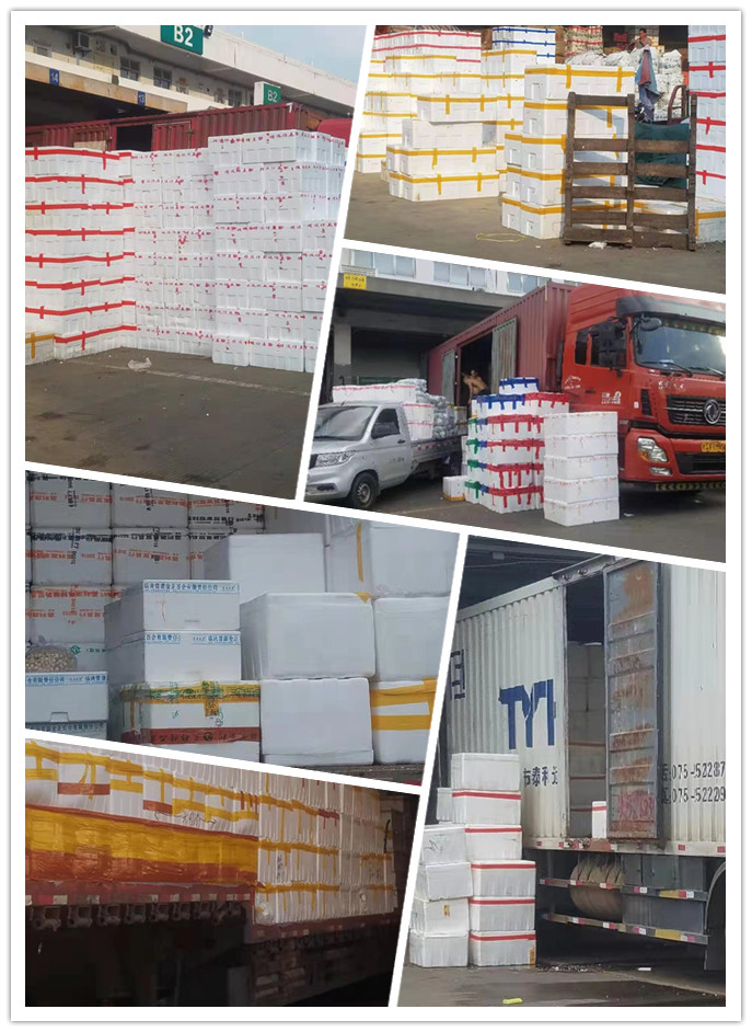 首页| PA视讯集团中国官方网站