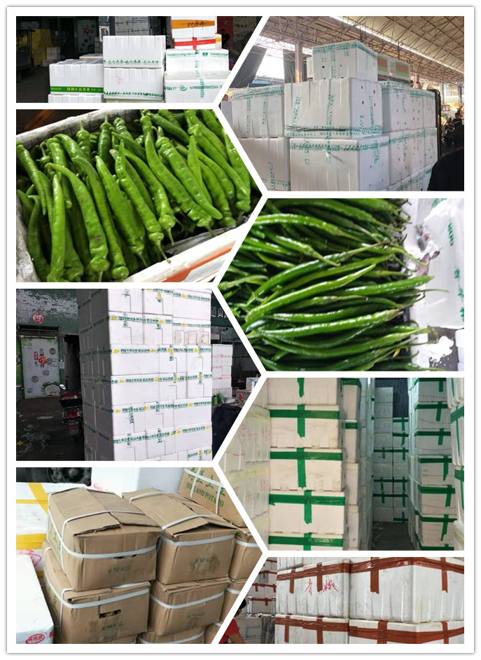 首页| PA视讯集团中国官方网站