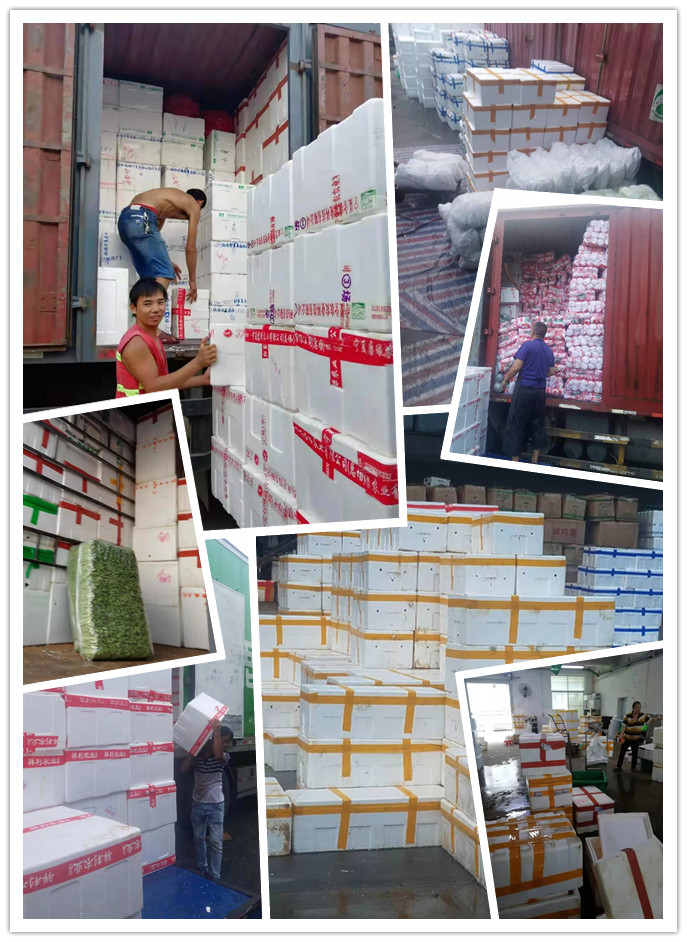 首页| PA视讯集团中国官方网站