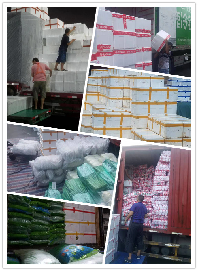 首页| PA视讯集团中国官方网站