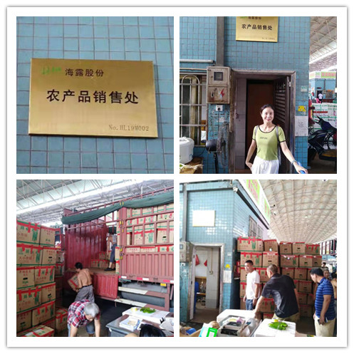 首页| PA视讯集团中国官方网站