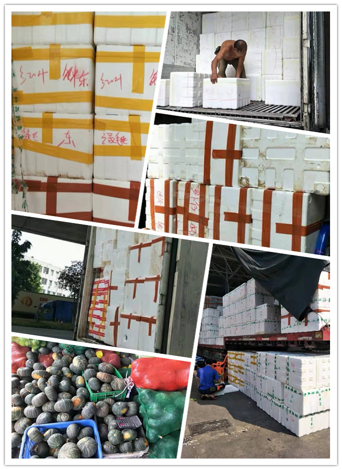 首页| PA视讯集团中国官方网站