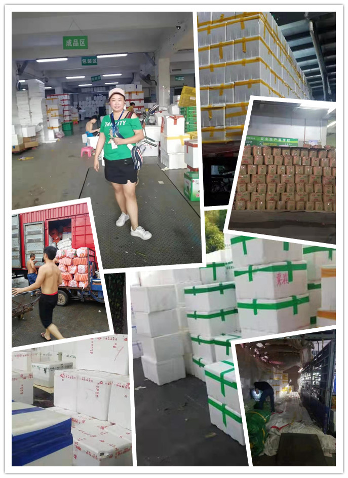 首页| PA视讯集团中国官方网站