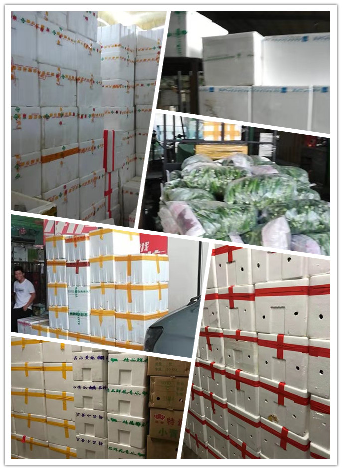 首页| PA视讯集团中国官方网站