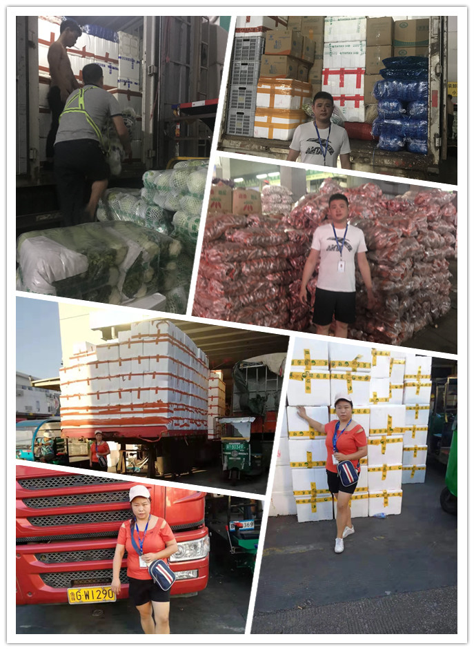 首页| PA视讯集团中国官方网站