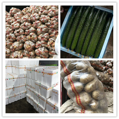 首页| PA视讯集团中国官方网站