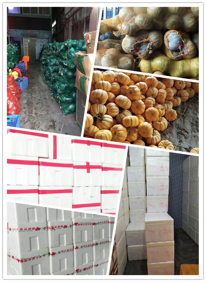 首页| PA视讯集团中国官方网站