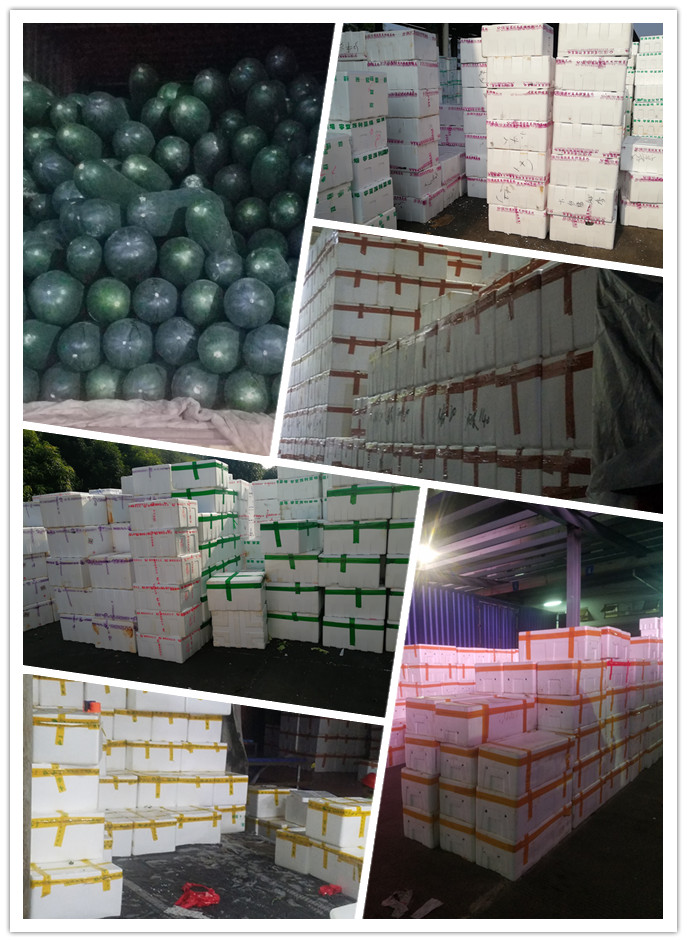 首页| PA视讯集团中国官方网站