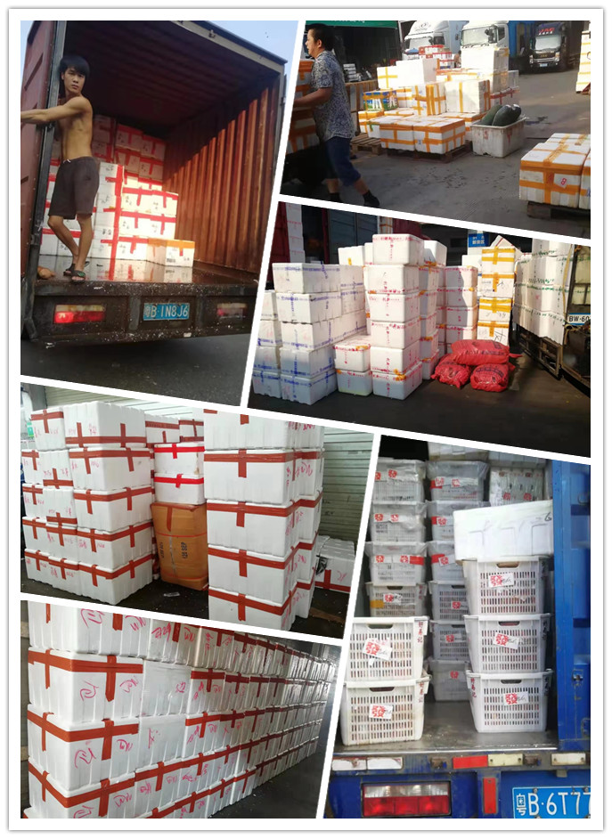 首页| PA视讯集团中国官方网站