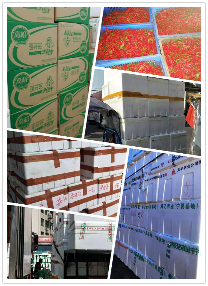 首页| PA视讯集团中国官方网站