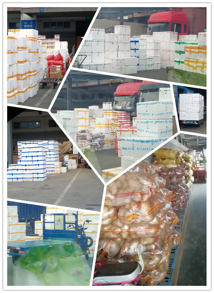 首页| PA视讯集团中国官方网站