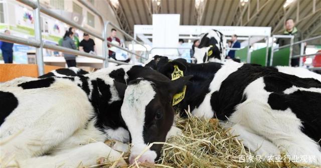 首页| PA视讯集团中国官方网站