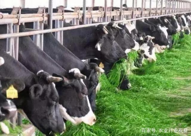 首页| PA视讯集团中国官方网站