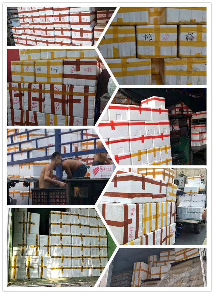 首页| PA视讯集团中国官方网站