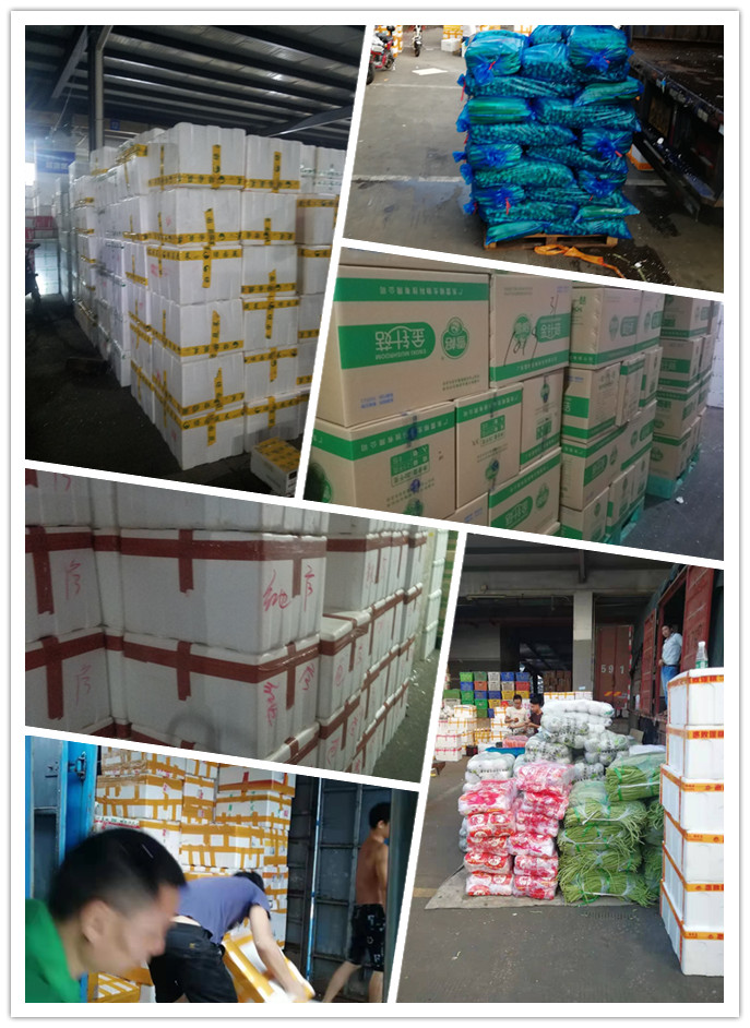 首页| PA视讯集团中国官方网站