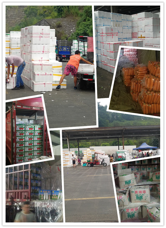 首页| PA视讯集团中国官方网站