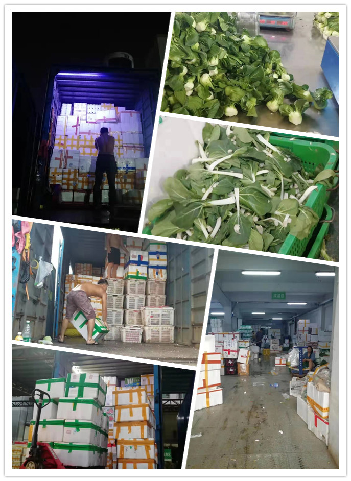 首页| PA视讯集团中国官方网站