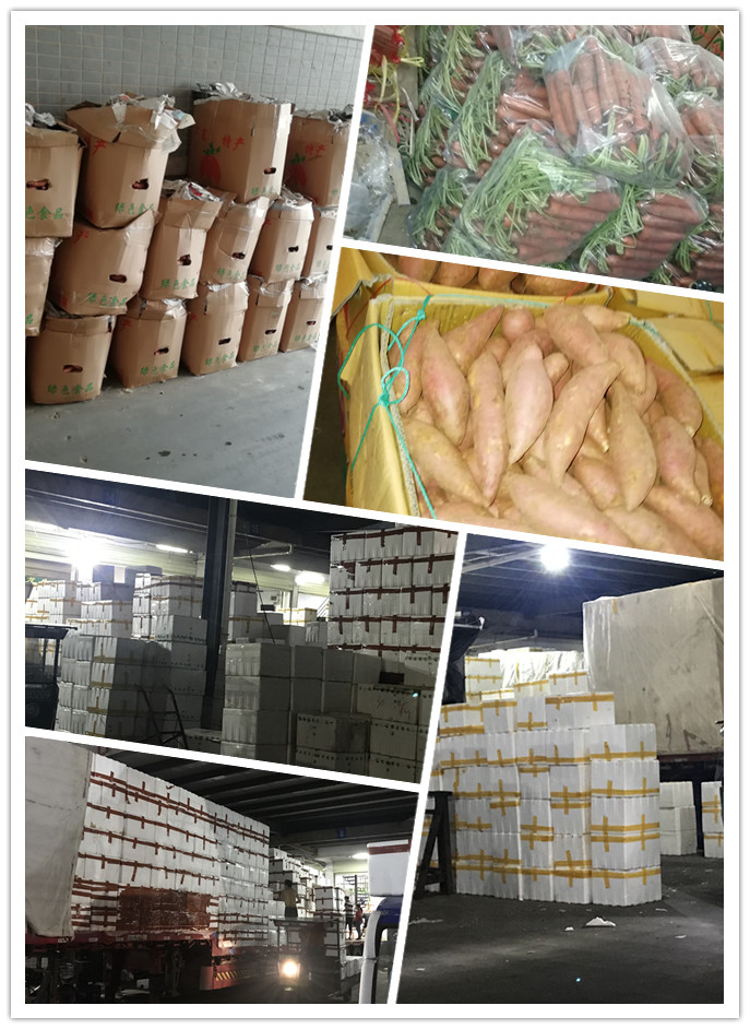 首页| PA视讯集团中国官方网站