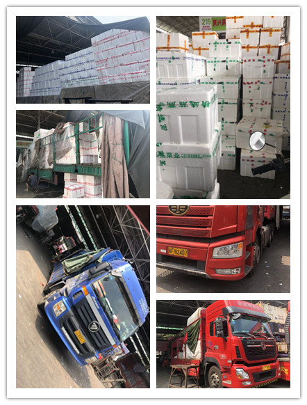 首页| PA视讯集团中国官方网站