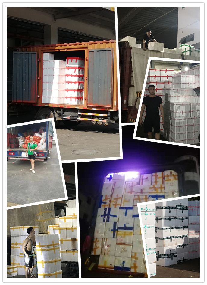 首页| PA视讯集团中国官方网站