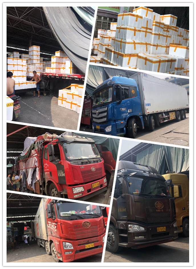 首页| PA视讯集团中国官方网站